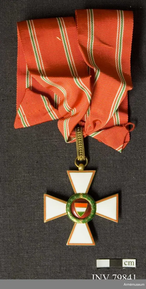 Ett kors med fyra vita emaljarmar, vars kanter bildas av en smal röd rand. Korsets framsida visar en röd emaljerad medaljong med en sköld i Ungerns färger. Det röda mittfältet är omgivet av en grön lagerkrans.

På baksidan sår i korsets mitt årtalet 1946.