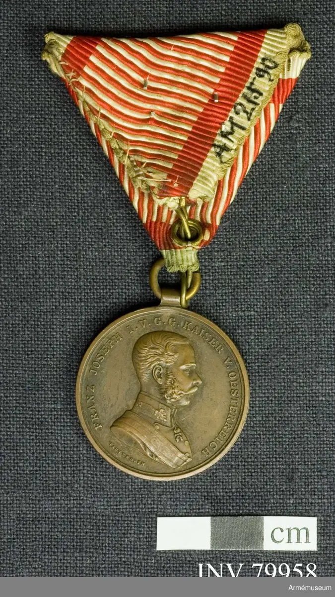 Rund medalj med porträtt av den regerande monarken på framsidan, Franz Joseph I. Runt medaljen finns inskriptionen "Franz Joseph I. V. G. Kaiser V. Oesterreich".

På baksidan en lagerkrans och korsade standarder och flaggor samt inskriptionen "Der Tapferkeit".

Bandet är rött och vitt.