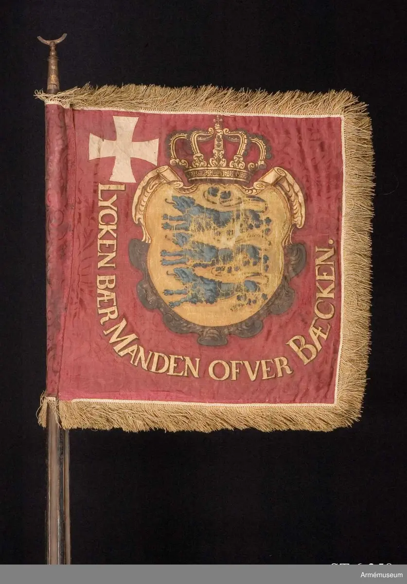 Standar av djupröd mönstrad sidendamast med Själlands vapen och vitt kors i målning och applikation. Duken är dubbel, av europeisk sidendamast med ett Dannebrogskors av applicerat vitt omönstrat siden i övre stångsidehörnet. I mitten en infälld krönt vapensköld av gul sidendamast i intarsiateknik med Själlands vapen, tre målade blå leoparder. På sidorna och nertill texten ”Lycken bær Manden ofver Bæcken” (Lyckan bär mannen över bäcken).
Runt kanten tredubbel frans i silke, troligen ursprungligen vit.
Spetsen är av förgyllt järn och avbruten, ursprungligen bladformad, endast nederdelen bevarad.