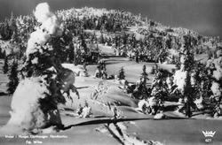 Vinter i Norge. Gyrihaugen. Nordmarka.