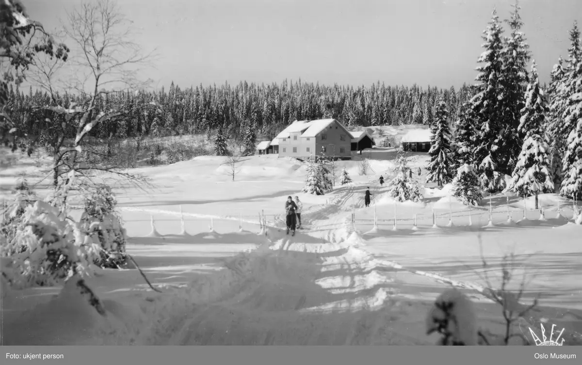 seter, snø, mennesker, skiløpere, skog