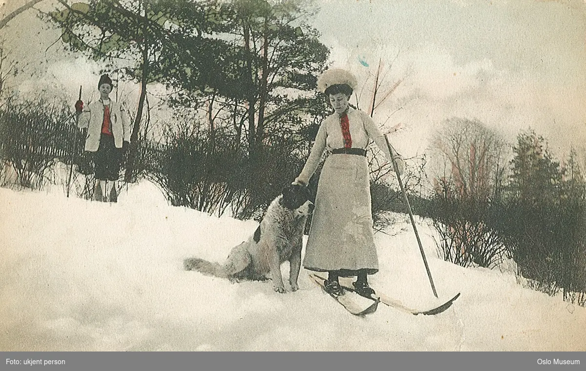 kvinne, mann, ski, hund, skog, snø