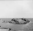 (Stereo karta XV) Holmen, Valen. 19 Juni 1926.