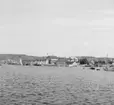 (Stereo karta XVI) Arvidsvik. 1 Augusti 1926.