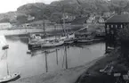 Vänerpesen 7921 Greta av Kållandsö vid Gullholmen, 1944