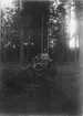 Soldat sittande på stubbe i skogen i sällskap med två kvinnor, Uppsala 1895.