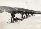Soldater åker skidor och hundar drar pulkor med utrustning.