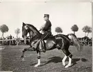 Officer Bertil Sandström på hästen Sabel under dressyruppvisning.