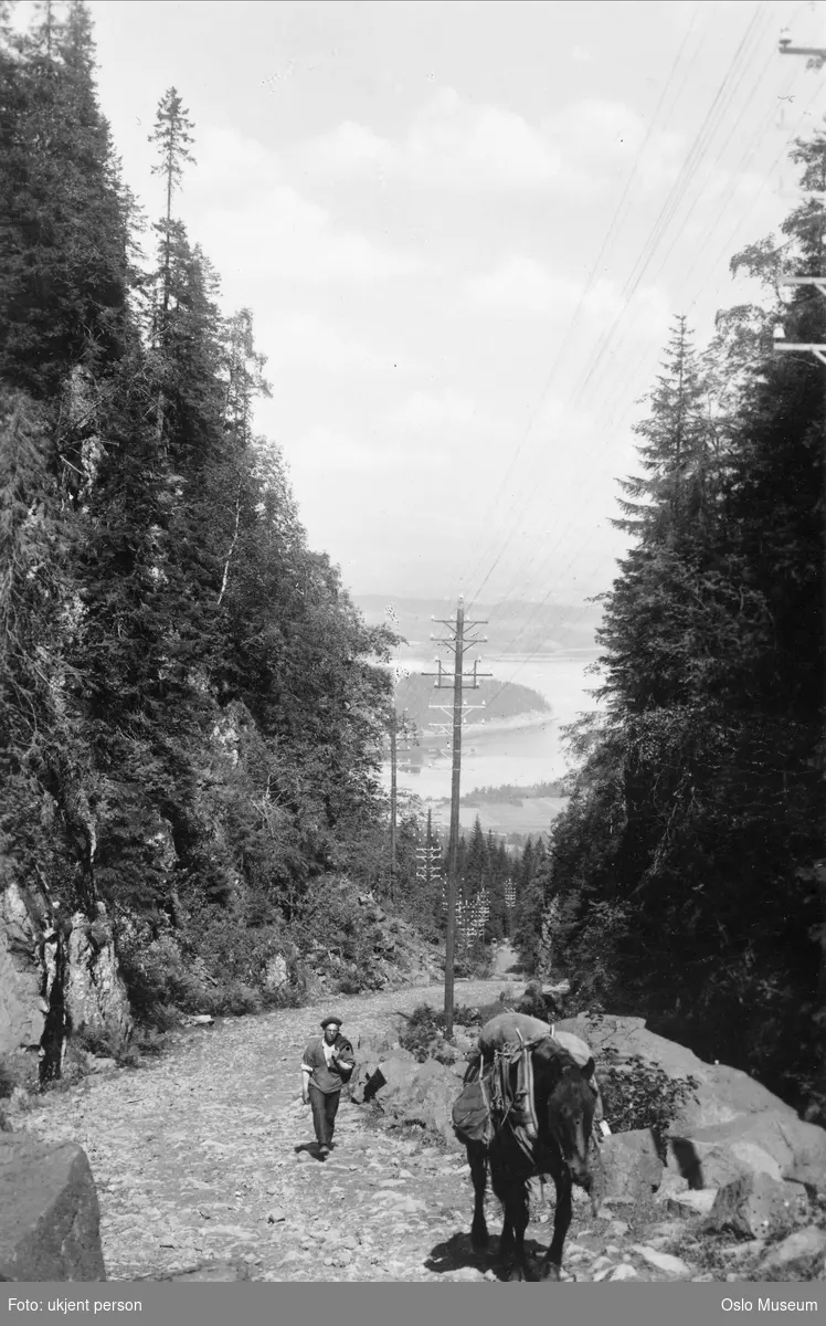 skog, kleiv, vei, mann, hest, utsikt, vann