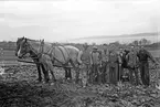 En grupp arbetare med två hästar på en åker i Jönköping.