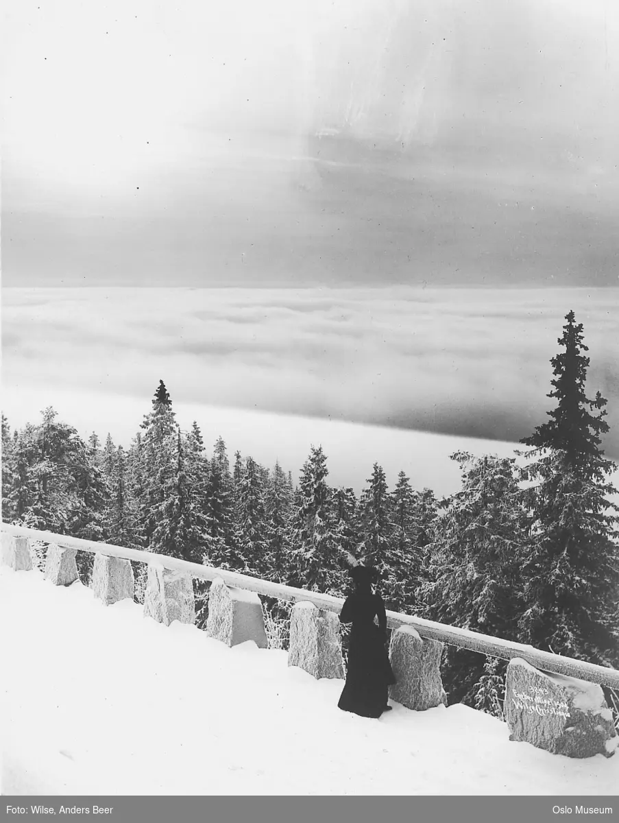 utsikt, kvinne, vei, stabbesteiner, granskog, snø, tåke