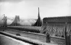 Storm vid Vättern på vintern den 15 januari 1929. Utmed stranden står en nedisad skylt med texten: Jönköpings Central.