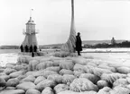 I februari 1928 drog stormen in från Vättern och täckte piren i Jönköping med is.