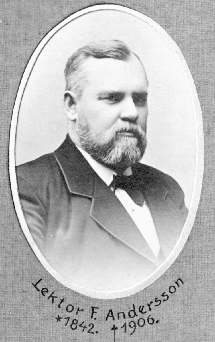 HM 15071. Läroverkskollegiets ordinarie ledamöter i början av 1880-talet (utom adj. Petri).
Foto 1 lektor C J A Thudén. Foto 2 rektor H F Hult. Foto 3 Lektor N Ambrosius. Foto 4 Lektor A von Engeström. Foto 5 Adjunkt N Boström. Foto 6  Lektor F Andersson. Foto 7 Adjunkt C A Colliander. Foto 8 Adjunkt E A Rålén. Foto 9 Adjunkt Joh. Lundberg.
