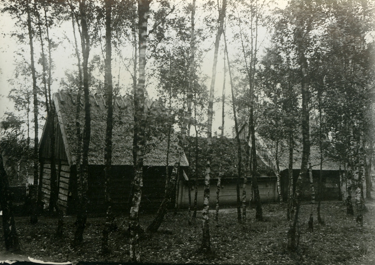 Galgberget, Hallandsgården. Ryggåsstuga från Hörsås, Getinge.