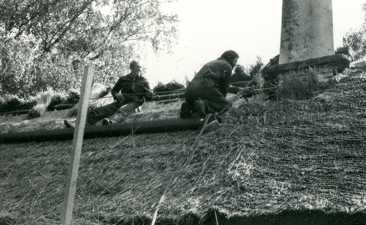 Halmtakläggning på manhusbyggnaden från Krafsagården i Olofstorp, Valinge i september 1980.