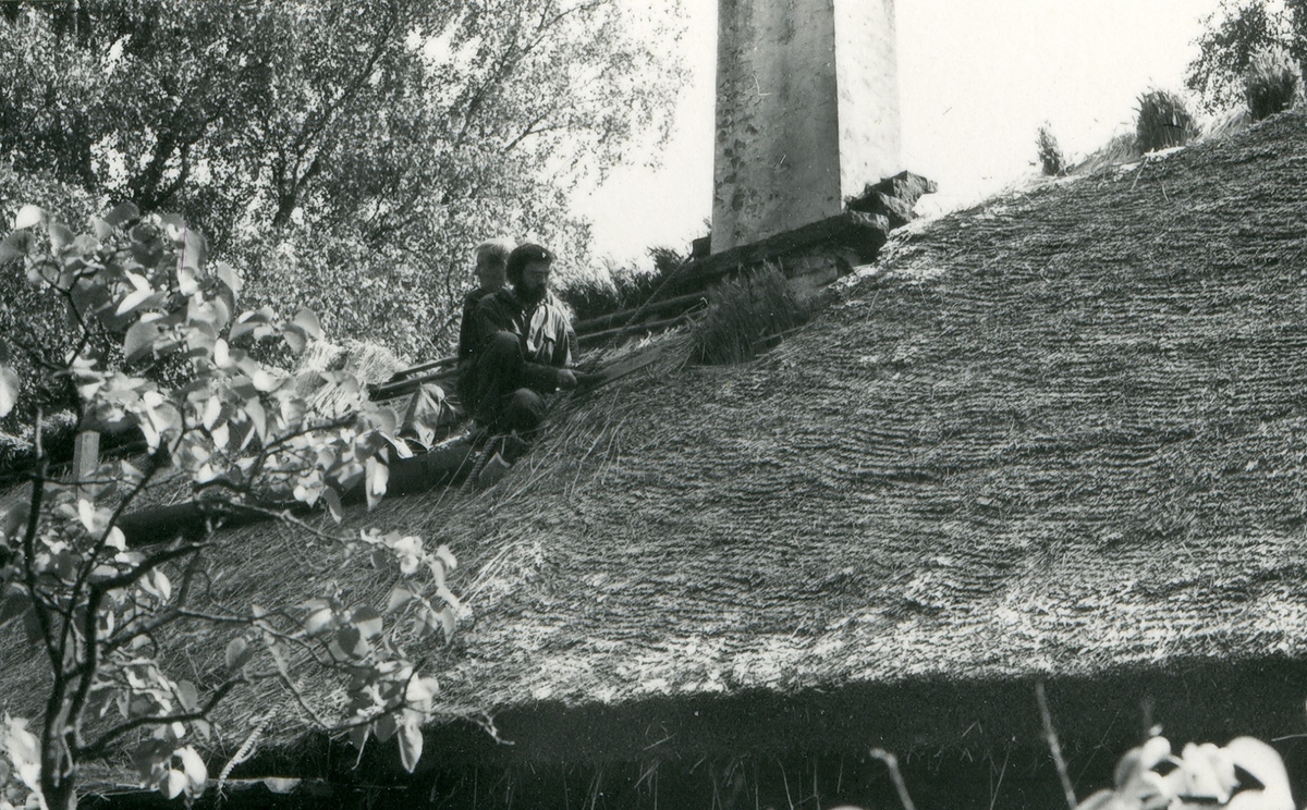 Halmtakläggning på manhusbyggnaden från Krafsagården i Olofstorp, Valinge i september 1980.