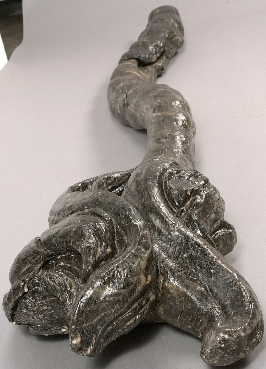 Skulpterad lejonsvans, lagad i rotändan. Svanstofsen är stor och yvig. Svansens baksida är slät.

Text in English: A sculpted lion''s tail, broken off where it was attached to the lion''s hind quarters. The tuft is large and bushy. The reverse side is smooth.