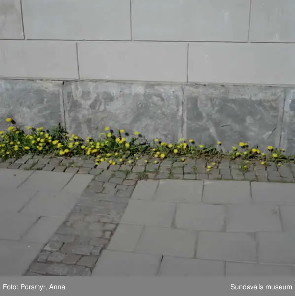 Tidstypiska  bilder från stenstaden, med hänsyn taget till tidens olika utryck. Skyltar, reklam, nya och äldre företeelser som förändras.