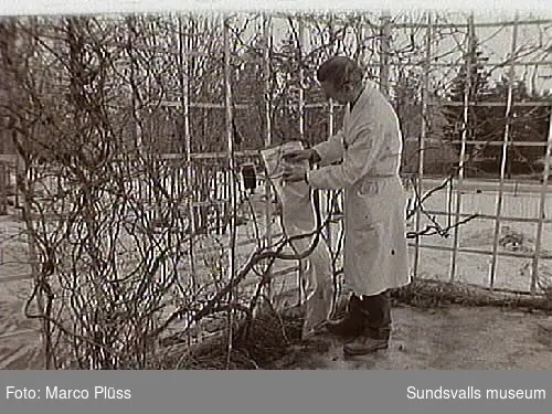 Stockviksverken.  02 Christer Sjölin, överingenjör på nedre fabriken och Gustav Nässén, huvudskyddsombud. 09 Karbidfabriken, kokslossning 18-30. Simon Kalf utför gasanalys vid en kontrollstation av luftföroreningar vid Mässen. 35. Trol rökgasanalys från skorsten.