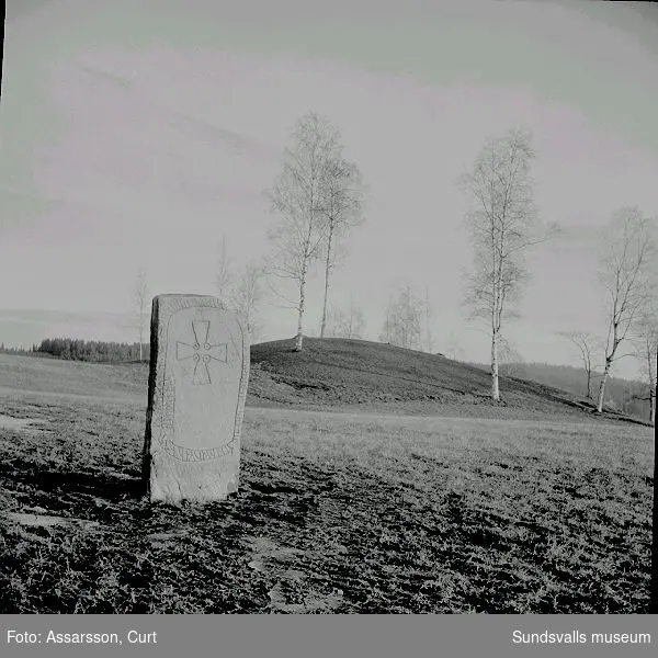 Runsten och del av gravfältet i Högom.