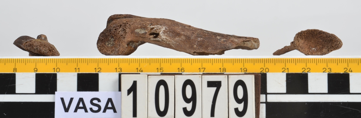 Ben från får/get (Ovis aries/Capra hircus).
1 st. fragment av skulderblad (scapula).
1 st. överarm (humerus).
1 st. strålben (radius).
1 st armbågsben (ulna).
1 st. lårben (femur).
1 st. skenben (tibia).
1 st. del av bäckenben ( del av pelvis).