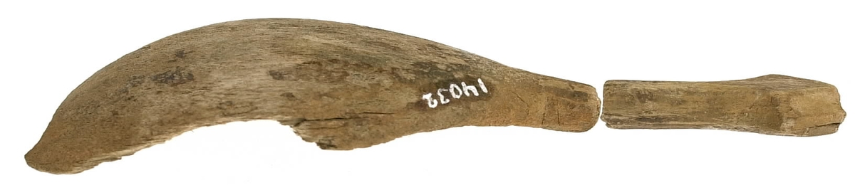 Fyra delar av en träsked. De två större delarna utgör skedskaftet samt större del av skedbladet med ett mindre parti av skaftet. De övriga två delarna utgör fragment av skedblad.

Insidan av skedbladet är dekorerad med ett ristat/glödritat vågmönster. Skedskaftet är kort och rakt, med profilerad skaftände. Längst ut på skaftänden syns en brottyta. Troligtvis har skaftet avlutats i en ändknopp. Skeden har gul-röda utfällningar samt rödbruna färgspår.

Skeddelarna är mycket ömtåliga, med sprickor.

För mer information se Dokumentationsblankett under Referenser – Länkade filer.