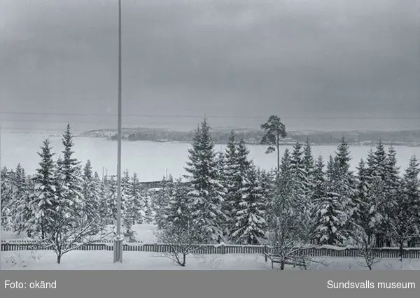 Vy från Stockviks herrgård mot Nyhamn. På bild fruktträd och flaggstång.