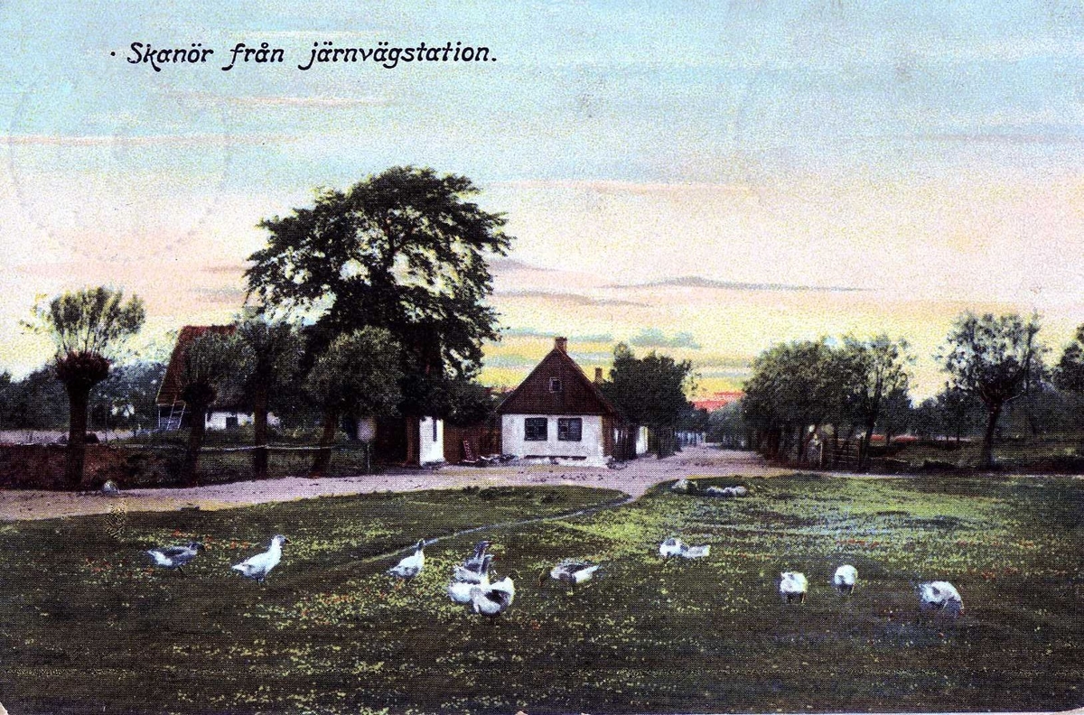 Kolorerat fotografi med motiv av Skanör sett ifrån järnvägstationen.