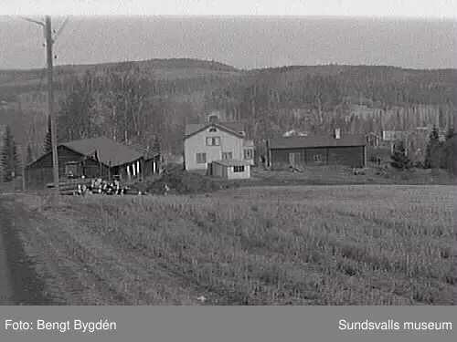 SuM-foto010730