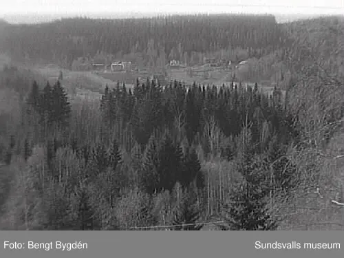 SuM-foto010730