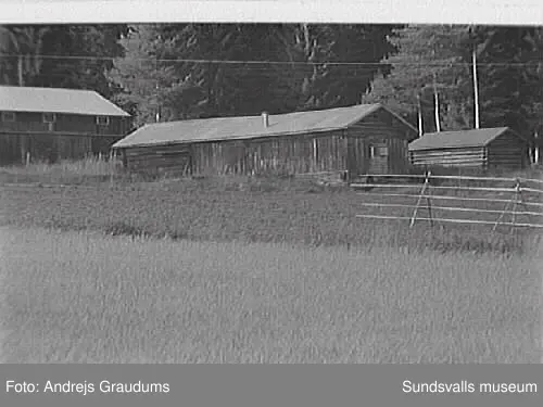 SuM-foto010763