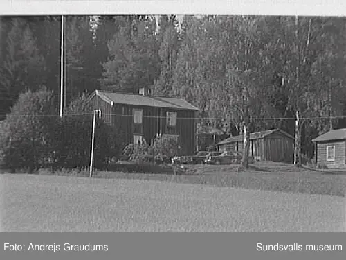 SuM-foto010763