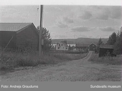 SuM-foto010763