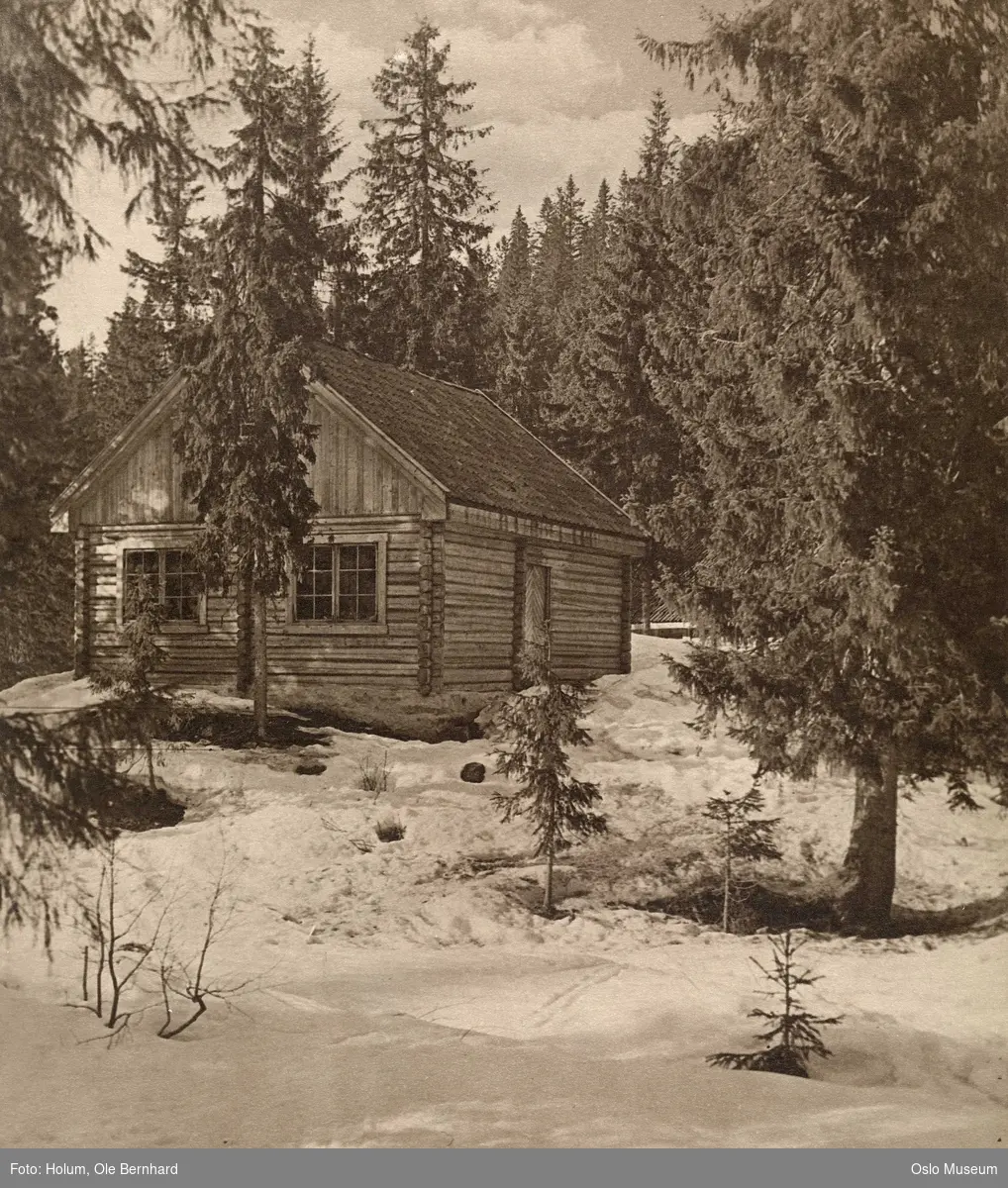 skog, snø, tømmerhus Mortenstua