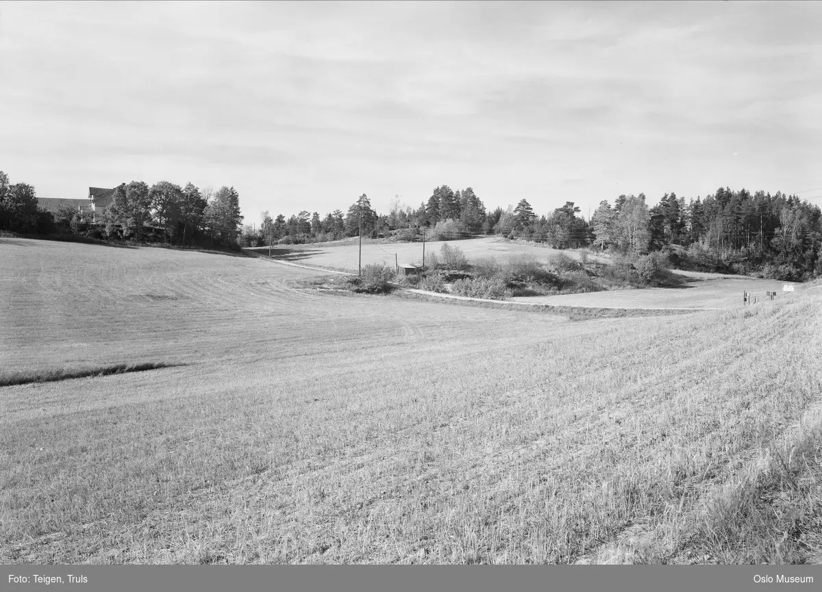 utsikt, kulturlandskap, vei, skog