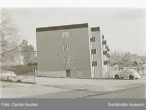 SuM-foto012142