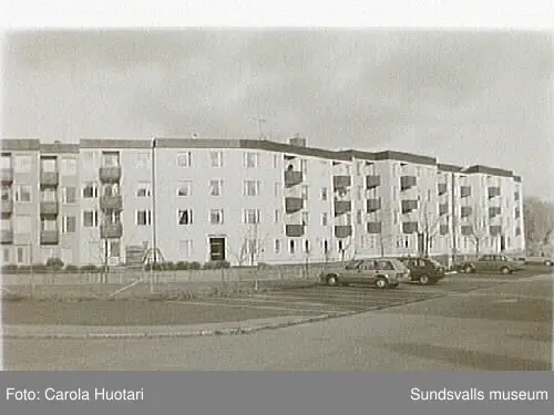SuM-foto012142