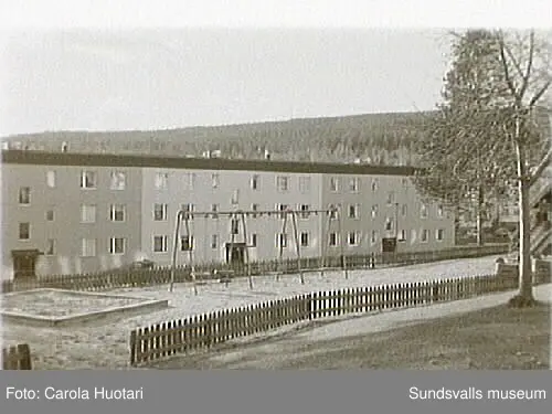 SuM-foto012142