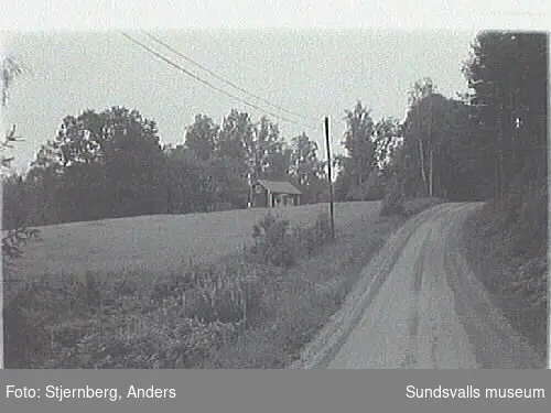 SuM-foto012569