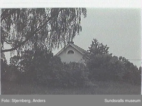 SuM-foto012569