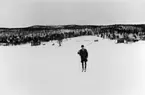 Lantbrevbärare Hugo Lundmark, Jäckvik, (skidåkande) på linjen Jäckvik - Merkenis (60 km.)  April 1952.