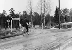 Lantbrevbärare, postiljon Erik Bergman (cykelåkande) i
Delsbo.  April 1956.

Brevbäringsturen är 2 ½ mil lång och omfattar nästan 300 hushåll. Postväskan väger ofta 30-40 kg.