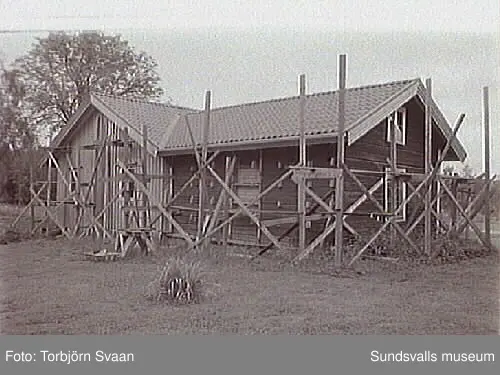 SuM-foto013651