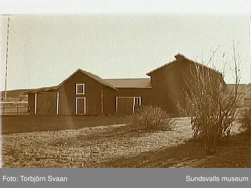 SuM-foto014081