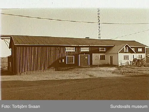 SuM-foto014081