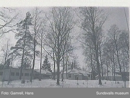 SuM-foto014884