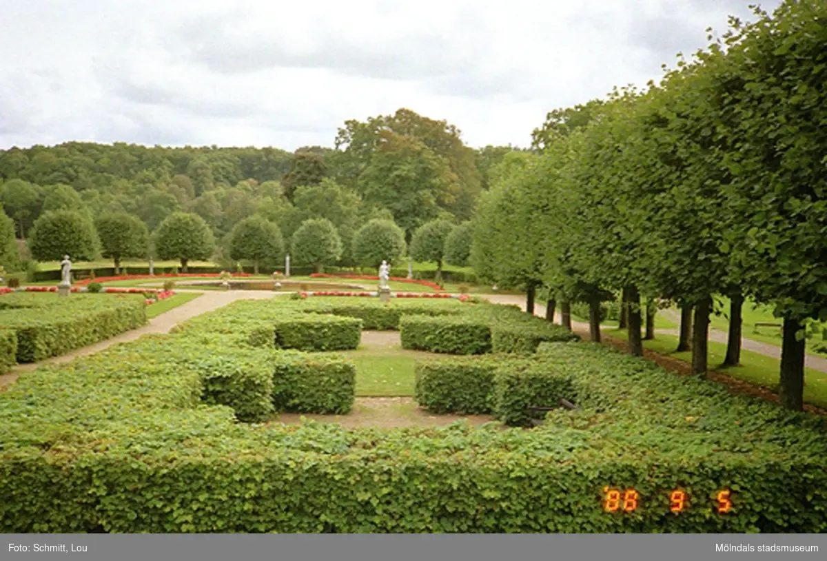 Gunnebo slottspark, söder om slottet.