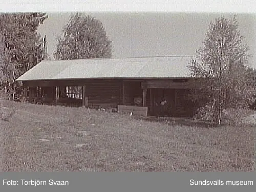 SuM-foto016420