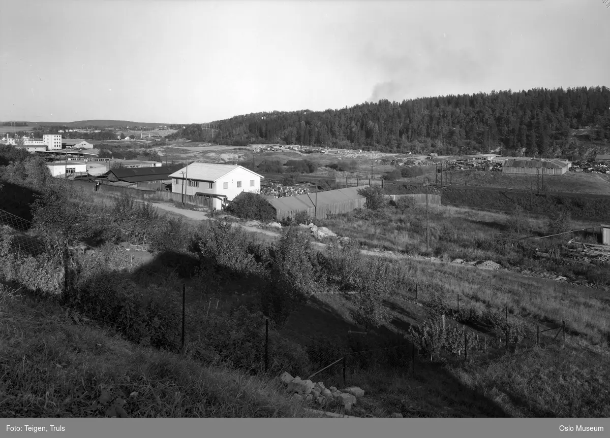 utsikt, fabrikkbygninger, kulturlandskap, skog